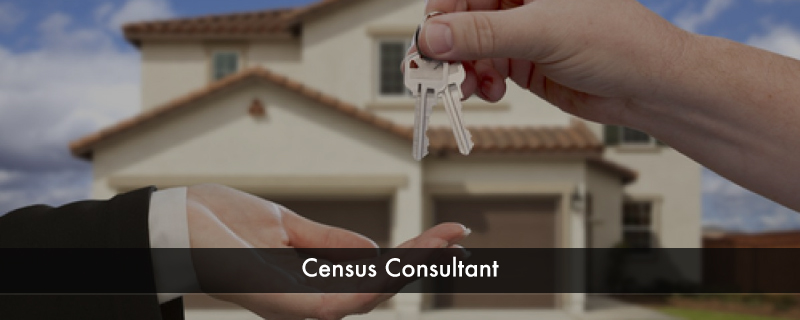 Census Consultant 